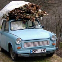 this Trabant wants to be a tree