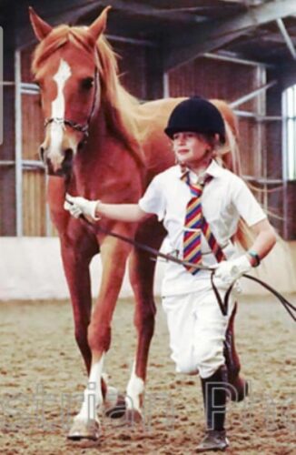 horse riding lessons Kardzhali