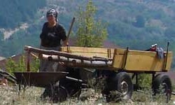 Metal detectors at Perperikon