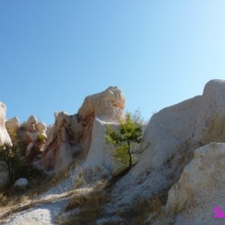 the Stone Wedding Ceremony